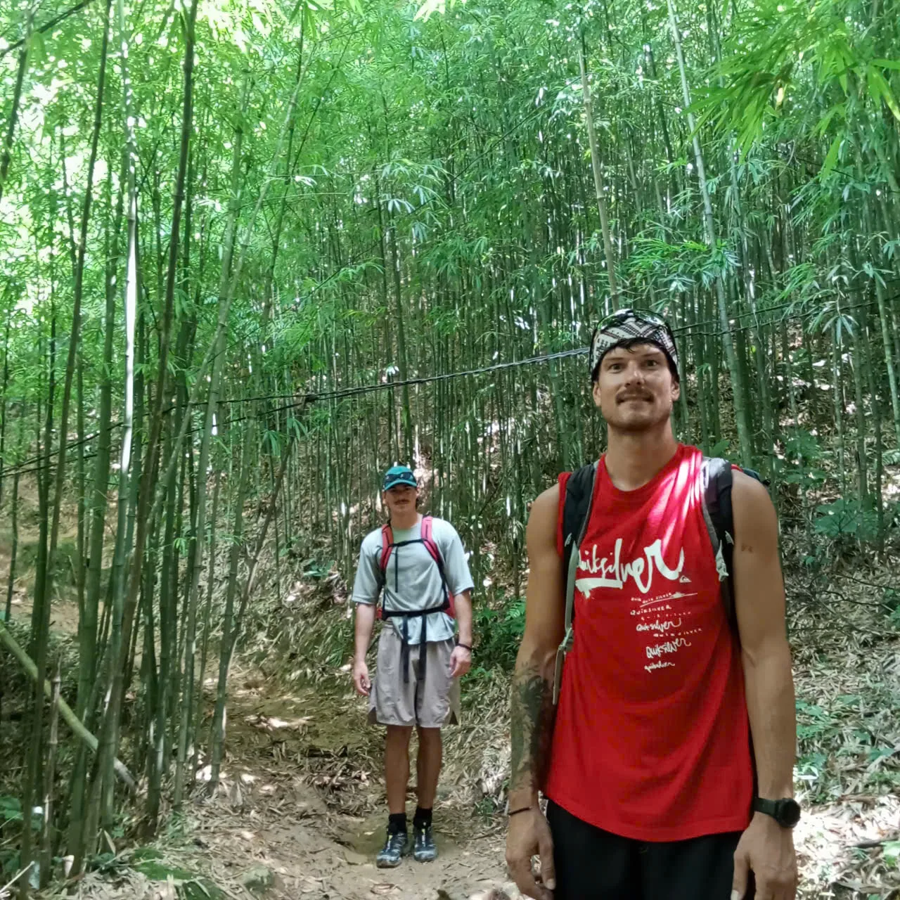 Two people standing on a narrow dirt path inside a dense bamboo grove