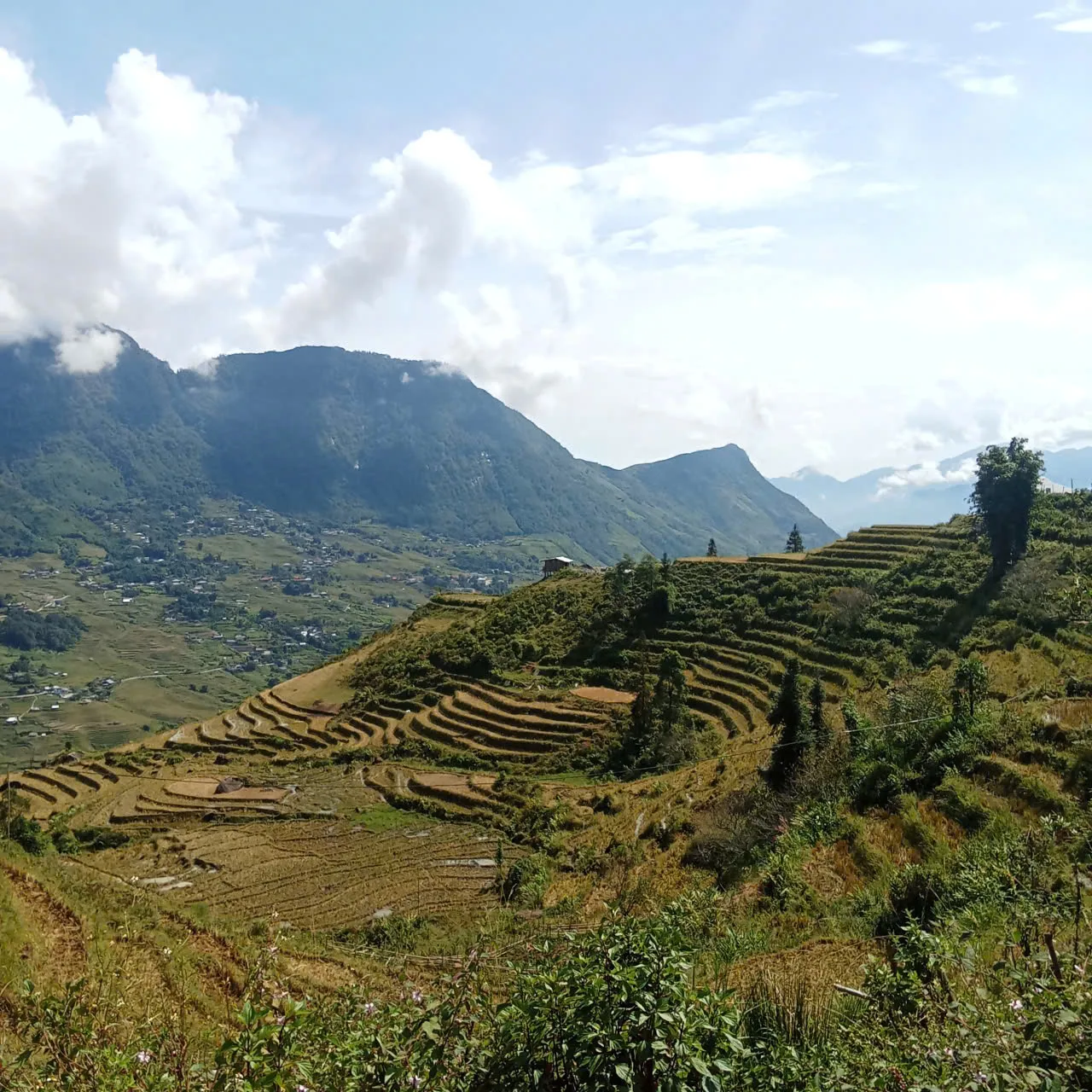 Curved rice terraces on a hillside, with forested mountains and a valley settlement beyond
